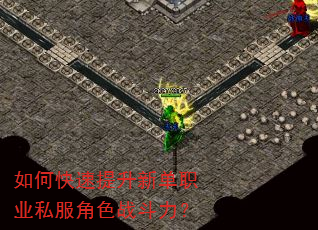 如何快速提升新单职业私服角色战斗力? 如何快速提升新单职业私服角色战斗力?