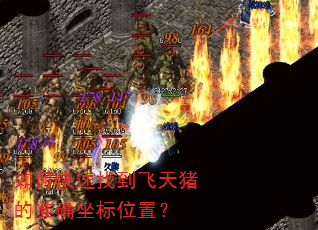 如何快速找到飞天猪的准确坐标位置? 如何快速找到飞天猪的准确坐标位置?