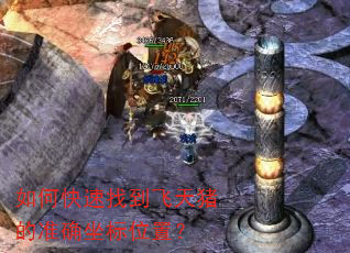 如何快速找到飞天猪的准确坐标位置? 如何快速找到飞天猪的准确坐标位置?