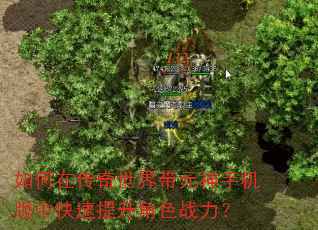 如何在传奇世界带元神手机版中快速提升角色战力? 如何在传奇世界带元神手机版中快速提升角色战力?