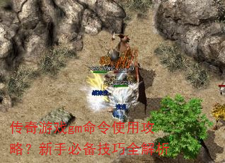 传奇游戏gm命令使用攻略?新手必备技巧全解析 传奇游戏gm命令使用攻略?新手必备技巧全解析