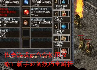 传奇游戏gm命令使用攻略?新手必备技巧全解析 传奇游戏gm命令使用攻略?新手必备技巧全解析