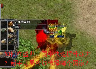 如何在盛世三国中快速提升战力?新手开局应该选择哪个国家? 如何在盛世三国中快速提升战力?新手开局应该选择哪个国家?