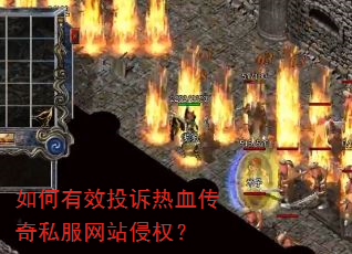 �����ЧͶ����Ѫ����˽����վ��Ȩ��