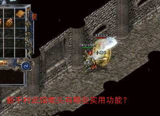 新手村武馆教头有哪些实用功能? 新手村武馆教头有哪些实用功能?