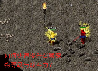 如何快速提升召唤宠物等级与战斗力? 如何快速提升召唤宠物等级与战斗力?