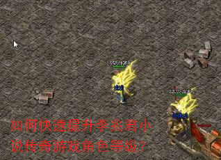 如何快速提升李兆君小说传奇游戏角色等级? 如何快速提升李兆君小说传奇游戏角色等级?