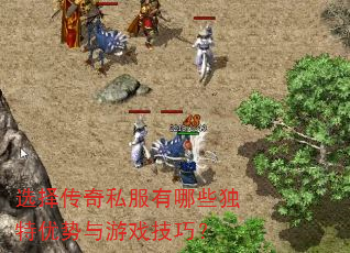 选择传奇私服有哪些独特优势与游戏技巧? 选择传奇私服有哪些独特优势与游戏技巧?