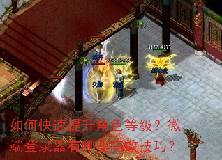 如何快速提升角色等级?微端登录器有哪些高效技巧? 如何快速提升角色等级?微端登录器有哪些高效技巧?