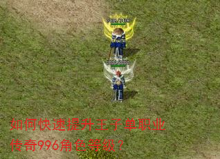 如何快速提升王子单职业传奇996角色等级? 如何快速提升王子单职业传奇996角色等级?