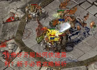 传奇SF开服如何快速盈利?新手必看攻略解析 传奇SF开服如何快速盈利?新手必看攻略解析
