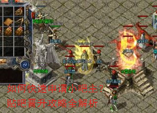 如何快速申请小吧主?贴吧晋升攻略全解析 如何快速申请小吧主?贴吧晋升攻略全解析