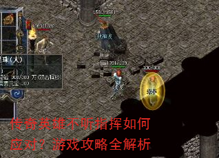 传奇英雄不听指挥如何应对?游戏攻略全解析 传奇英雄不听指挥如何应对?游戏攻略全解析