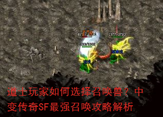 ��ʿ������ѡ���ٻ��ޣ��б䴫��SF��ǿ�ٻ����Խ���
