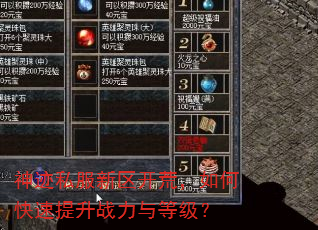 神迹私服新区开荒,如何快速提升战力与等级? 神迹私服新区开荒,如何快速提升战力与等级?
