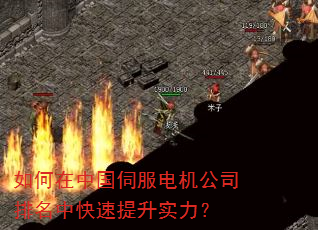 如何在中国伺服电机公司排名中快速提升实力? 如何在中国伺服电机公司排名中快速提升实力?