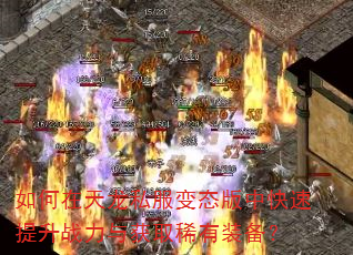 如何在天龙私服变态版中快速提升战力与获取稀有装备? 如何在天龙私服变态版中快速提升战力与获取稀有装备?