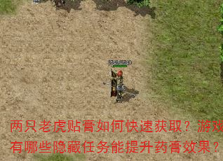 两只老虎贴膏如何快速获取?游戏内有哪些隐藏任务能提升药膏效果? 两只老虎贴膏如何快速获取?游戏内有哪些隐藏任务能提升药膏效果?