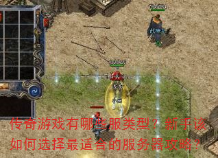 传奇游戏有哪些服类型?新手该如何选择最适合的服务器攻略? 传奇游戏有哪些服类型?新手该如何选择最适合的服务器攻略?