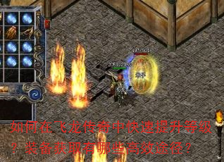 如何在飞龙传奇中快速提升等级?装备获取有哪些高效途径? 如何在飞龙传奇中快速提升等级?装备获取有哪些高效途径?